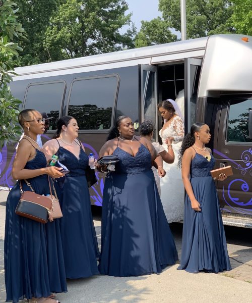 indigo-luxury-tours-36